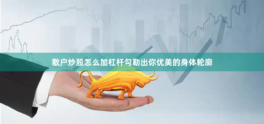 散户炒股怎么加杠杆勾勒出你优美的身体轮廓